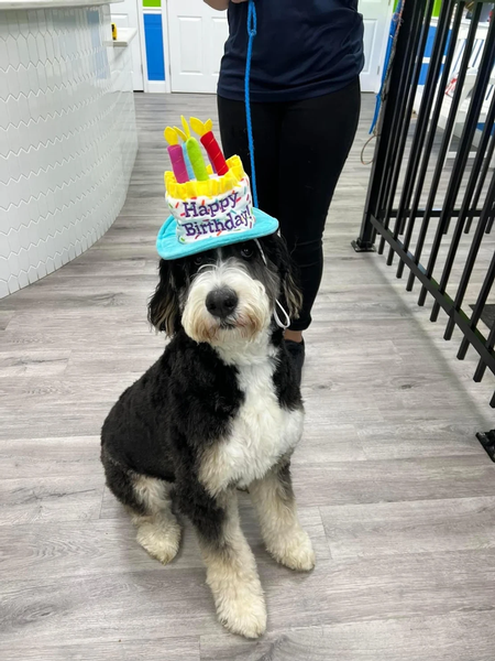 Valerie M. on Google